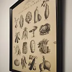 Konukevi Pelster's Diepholz