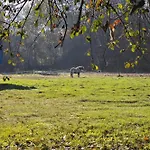 Pelster's Konukevi 3*